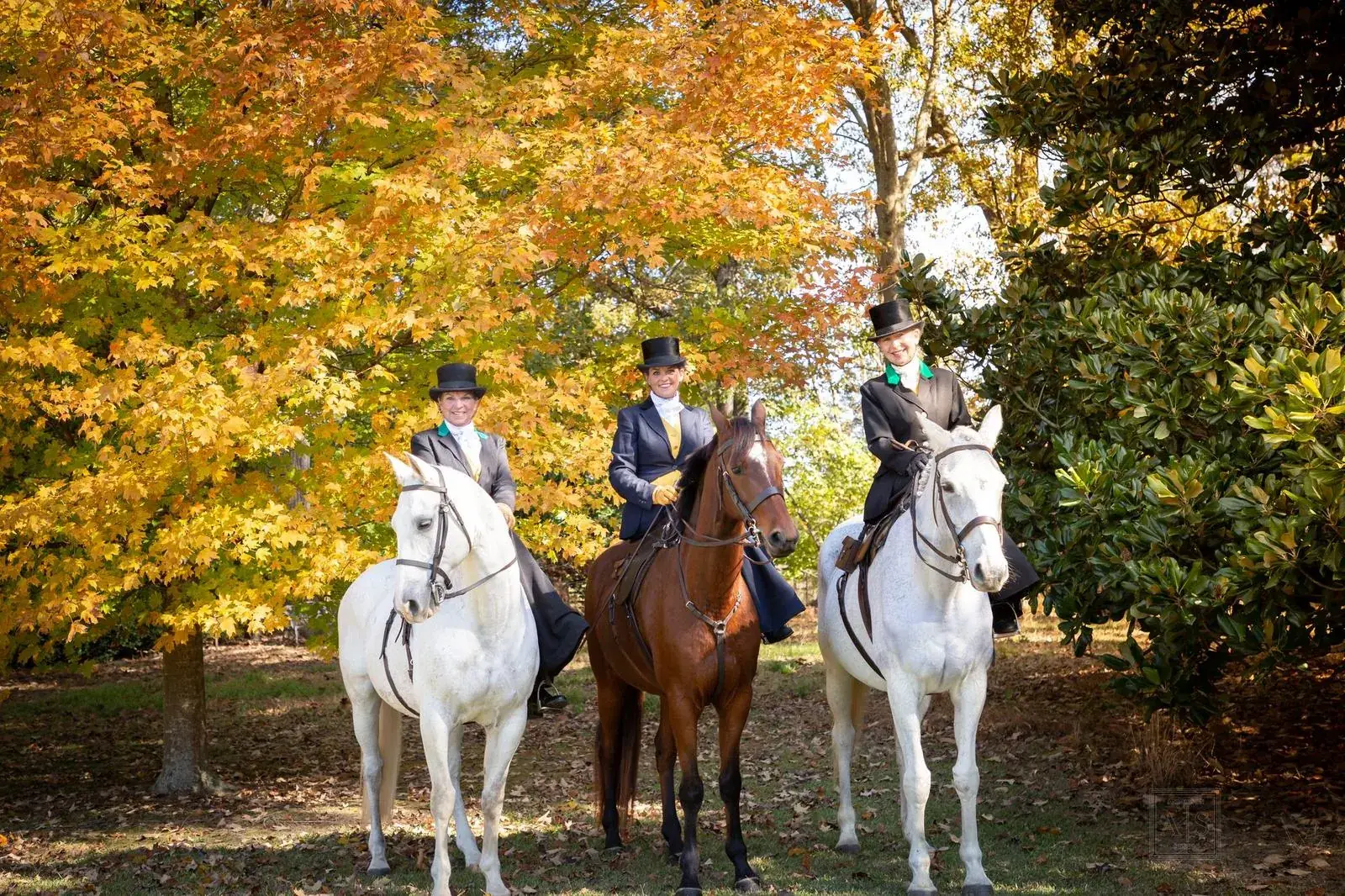 Riders mounted sidesaddle beneath oaks in full autumn colour at Birdlands