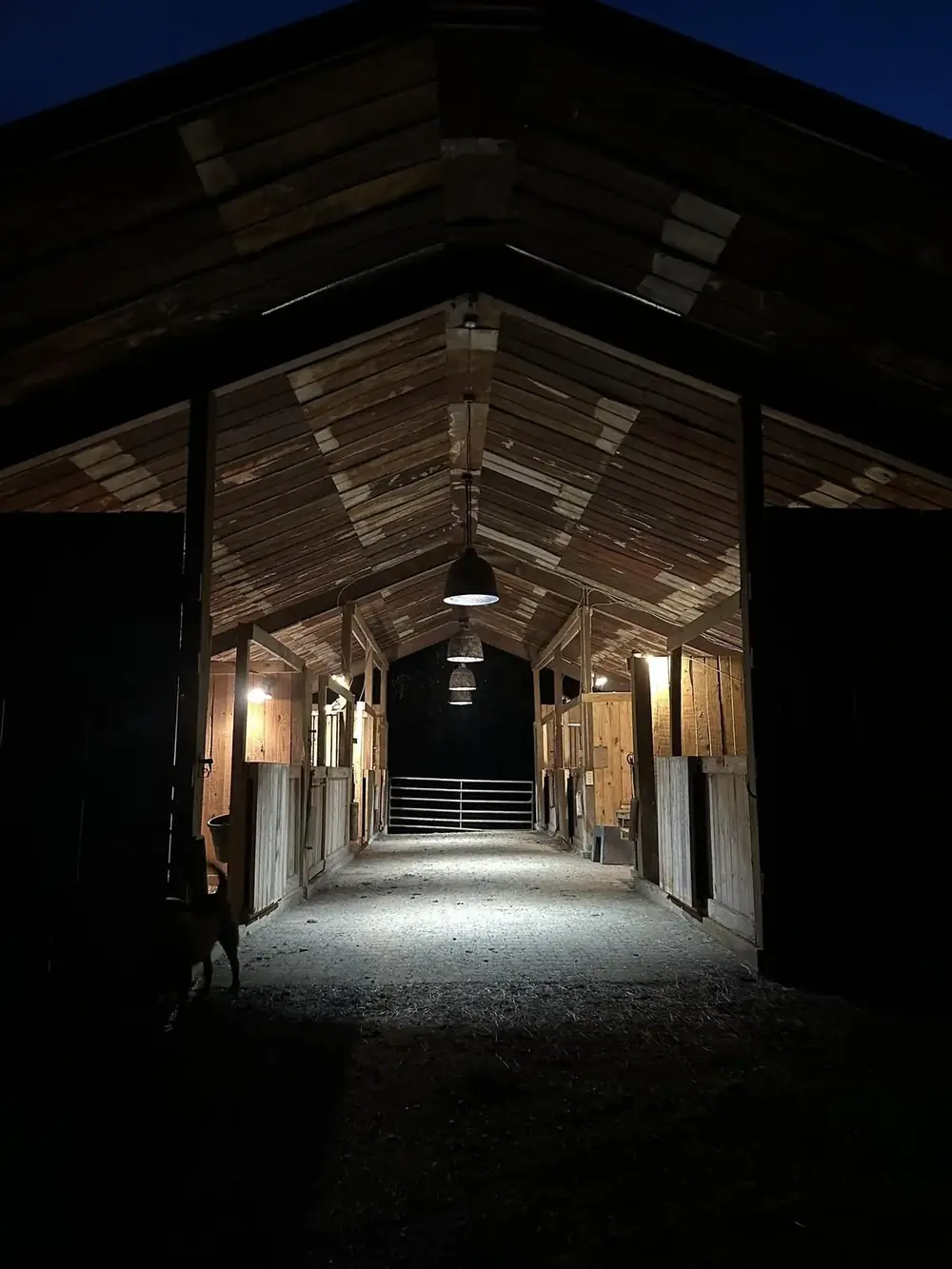The barn aisle at night with the pendant lamps lit