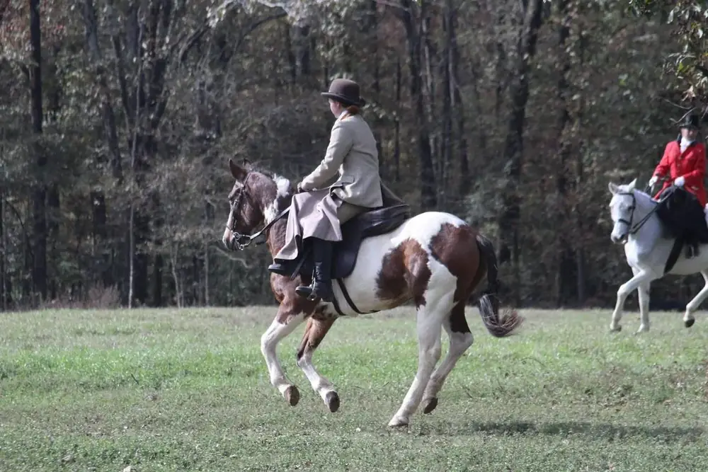 A rider cantering a paint horse aside
