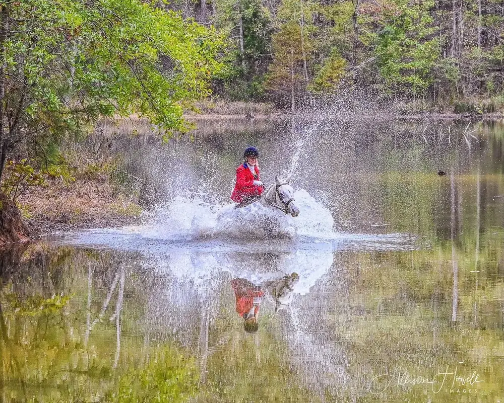 A grey horse and rider crossing the river at speed, throwing spray