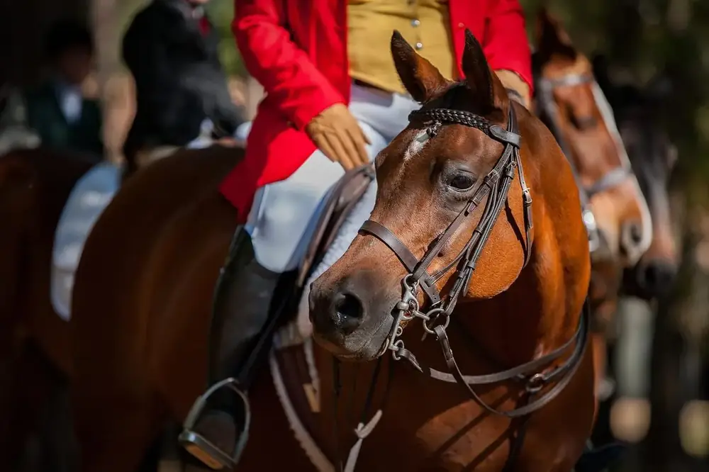 Tacked and waiting.