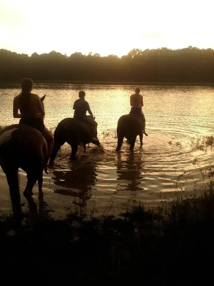 Riders on horseback in the lake at sunset