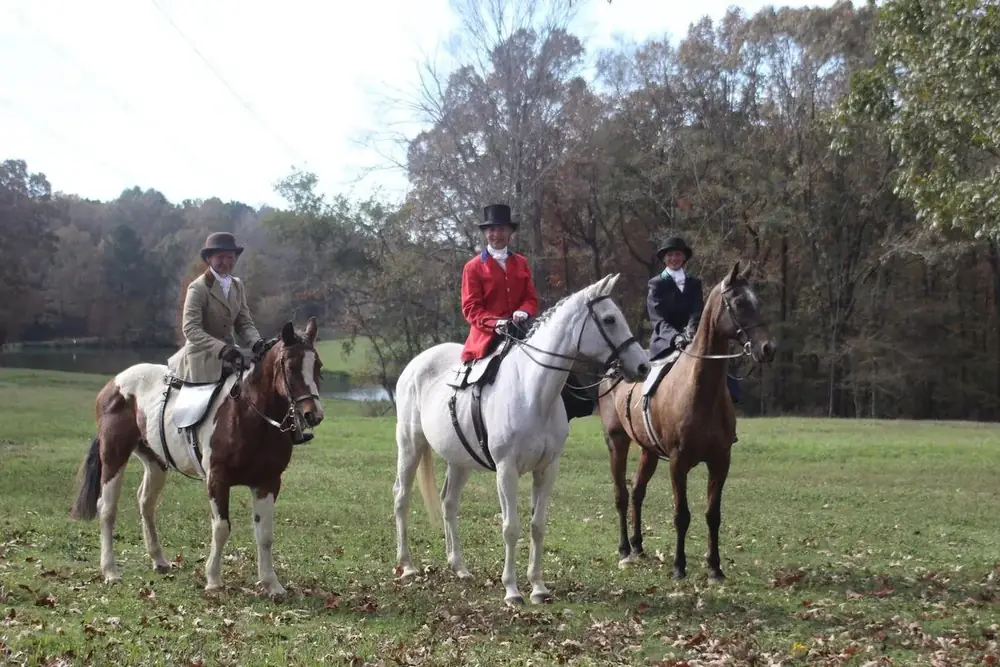 Three ladies mounted aside